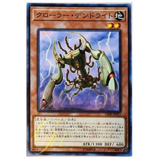 [CIBR-JP021] Krawler Dendrite (Common)