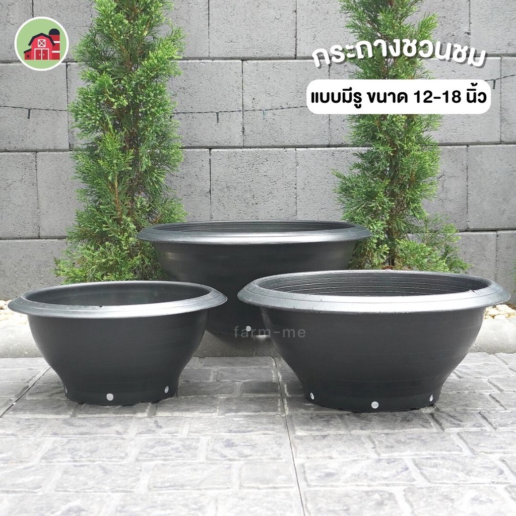 My Image 24