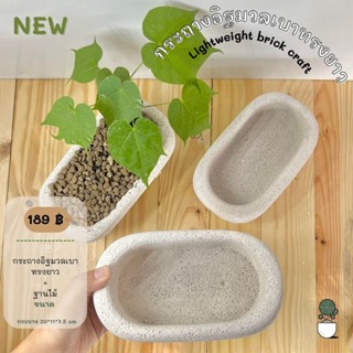 กระถางอิฐมวลเบา 18*10*10 cm lightweight brick pot พร้อมฐานไม้ สไตล์มินิมอล กระถางทรงรีอิฐมวลเบา ปลูกไม้โขด บอนไซ ไม้ดัด