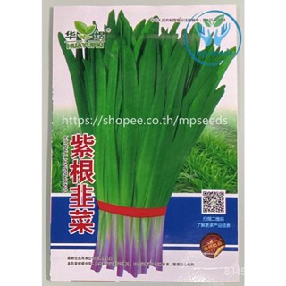 （คุณภาพสูง เมล็ด）เมล็ด กุยช่าย ก้านม่วง 4-5 กรัม chives (1,200-1,500เมล็ด)/ง่าย ปลูก สวนครัว เมล็ด/ขายดี RD5Y