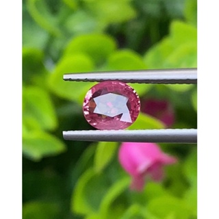 พลอย ทับทิม (Ruby Sapphire) 0.99 กะรัต (Cts.) พลอยแท้ อัญมณีมงคลประจําวันเกิด เครื่องประดับพลอย