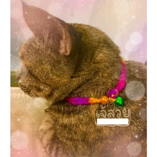 ป้ายชื่อสัตว์เลี้ยง🐈10แถม2🐈‍⬛ป้ายชื่อน้องแมว น้องหมา 🔔แถมกระพรวนคละสี ❤สลักฟรี