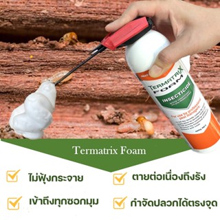 Termatrix Foam เทอร์มาทริกซ์ โฟม โฟมกำจัดปลวก ขนาด 500 กรัม