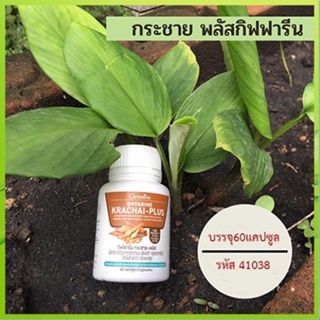 ของแท้❤กระชายผง250มก.Giffarineกระชายพลัสมีประโยชน์ต่อร่างกาย/รหัส41038/จำนวน1กระปุก(60แคปซูล)🌸tKQn