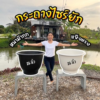 กระถาง 26 นิ้ว  กระถางไซร์ยัก อ่างบัว หนาพิเศษ ทรงสูง