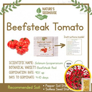 Beefsteak Tomato Seeds (หาสก) Beef Tomato Seeds Vegetable Seeds Rose/Jelly/ สวน/Doll/ เเก็ก/หวก/สาก/ฮัน HRL5