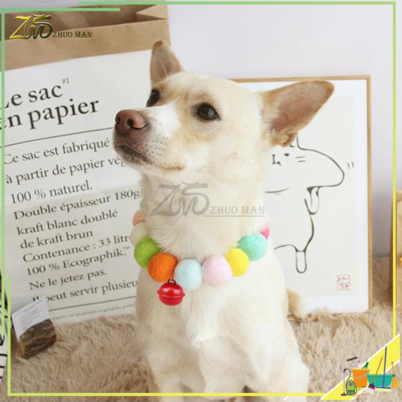 รูปภาพ 5