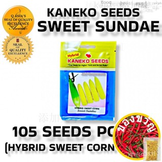 F1หวานซันเดย์ HYBRID เมล็ดข้าวโพดหวาน (ประมาณ105เมล็ด) KANEKO Seedsaurus Cols/裙子/种子/木瓜/芹菜/玫瑰/鲜花/头饰/园艺/ Q2DG