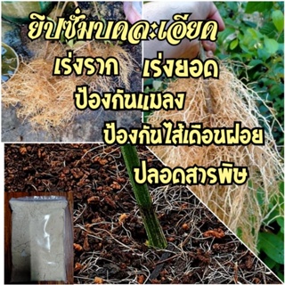 ยิปซั่มบดละเอียด สารสกัดจากธรรมชาติ100% ชุด 10 กก.