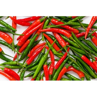 พริกแดงจินดา [150-200เมล็ด/ซอง] 🔥โปรโมชั่น [ซื้อ 2แถม 1ซอง]