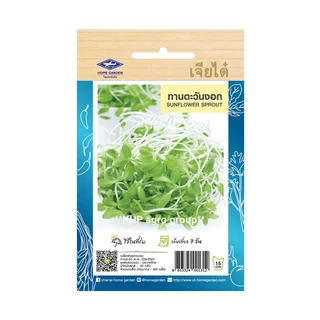 เมล็ดพันธุ์ ผักใบ ชุดที่ 3 เจียไต๋ (ซอง) ตราเครื่องบิน + Best Seller + เมล็ดผัก ผักสวนครัว ผักสลัด ผักไฮโดร