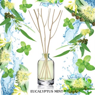 ก้านไม้หอมปรับอากาศขนาดมินิ 15ml EUCALYPTUS MINT ยูคาลิปตัสมิ้นท์