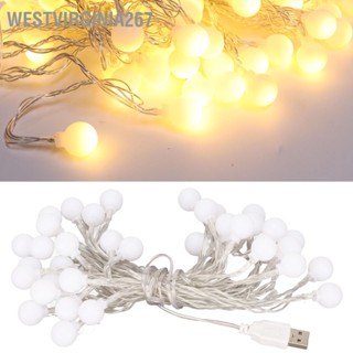 BWestvirginia267 สายไฟหิ่งห้อย Led พอร์ต Usb กันน้ํา สีขาวอบอุ่น สําหรับตกแต่งห้องนอน งานแต่งงาน