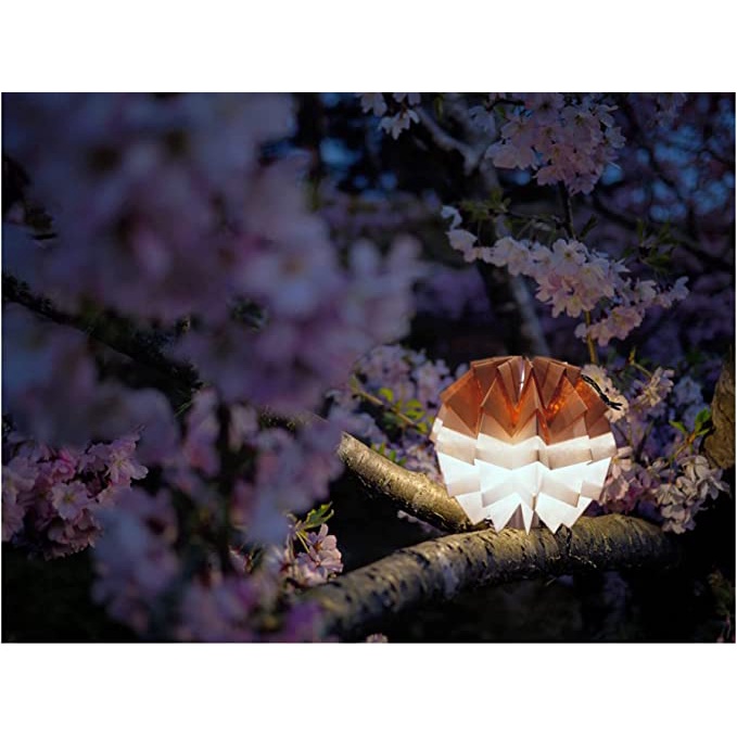 ACME-6 GZ Light Cover Lantern Cover Goal Zero Origami Cover  โป๊ะโคมกระดาษทรงกลมแบบญี่ปุ่น - jp.import - ThaiPick