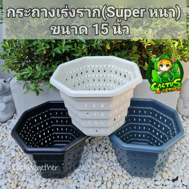 กระถางเร่งรากSuperหนา‼️หนา รูเยอะ ระบายน้ำดี เร่งรากโตไวขนาด10"/12"/15นิ้ว3สี