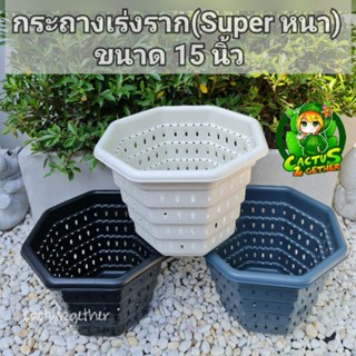 กระถางเร่งรากSuperหนา‼️หนา รูเยอะ ระบายน้ำดี เร่งรากโตไวขนาด10"/12"/15นิ้ว3สี