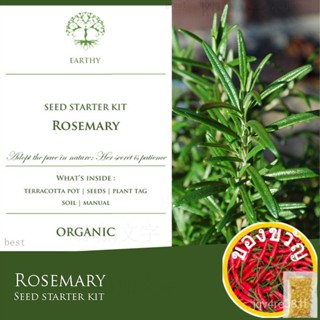 Plant Kit-Earth rosemary-herbal Kit | ชุดสวน | พืช | เมล็ด | การปลูก | กางเกง Brigitte see/ การแจ้งเตือน/ KJHV