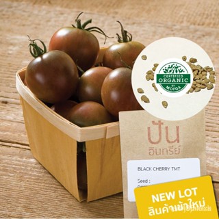 ผลิตภัณฑ์ใหม่ เมล็ดพันธุ์ เมล็ดพันธุ์ มะเขือเทศเชอรี่สีดำ Black Cherry Tomato (Organic Seed) ZQEE/ผักสลัด็ดด/ขายดี DF2Q