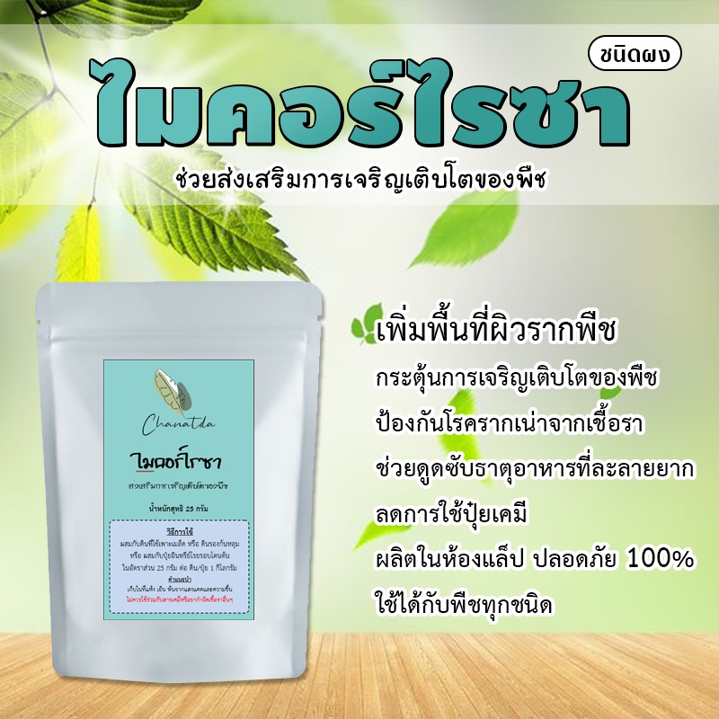 [ติดตามลด 20%] เชื้อราไมคอร์ไรซา (Arbuscular Mycorrhiza) ส่งเสริมการเจริญเติบโตของพืช บรรจุ 25 กรัม