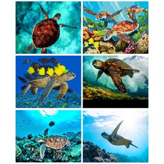 Ruopoty ภาพวาดสีน้ํามันบนผ้าใบ ตามตัวเลข รูปเต่าทะเล ขนาด 60x75 ซม. 50x65 ซม. 40x50 ซม. สําหรับตกแต่งบ้าน DIY