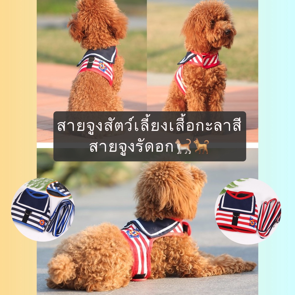 MG-399 สายจูงรัดอกลายกะลาสีสำหรับสุนัขและแมว ดีไซน์สดใสน่ารัก ใส่ง่าย แข็งแรงทนทาน ราคาประหยัด พร้อมส่งทันที💖🐟
