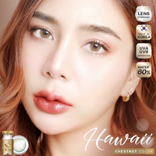 WeWink Hawaii Eff.19 Brown ใหญ่