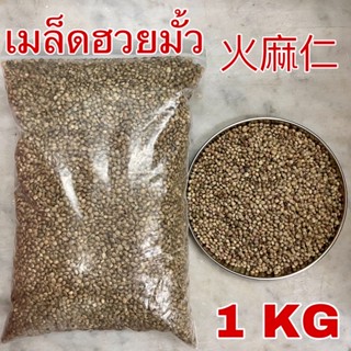 เมล็ดฮวยมั้ว 1 กก. เกรดA 火麻仁 อาหารนก ฮวยมั๊ว ฮ้วยมั้ว Hemp Seed อาหารว่างสำหรับนก แฮมเตอร์ กระรอก