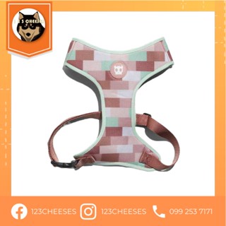 พรีออเดอร์ Zeedog Air Mesh Harness สายรัดอก สุนัข ซีด็อก ของแท้จากอเมริกา (3)