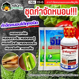 🥬 ชุดกำจัดหนอน จีม่า+ลูเฟนนูรอน (อีมาเมกติน+ลูเฟนนูรอน) บรรจุ 100กรัม*2+500ซีซี กำจัดหนอนทุกชนิด ใช้ได้กับพืชทุกประเภท