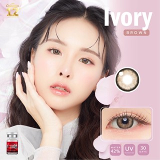 LovelyLens Ivory Eff.19 Brown ใหญ่