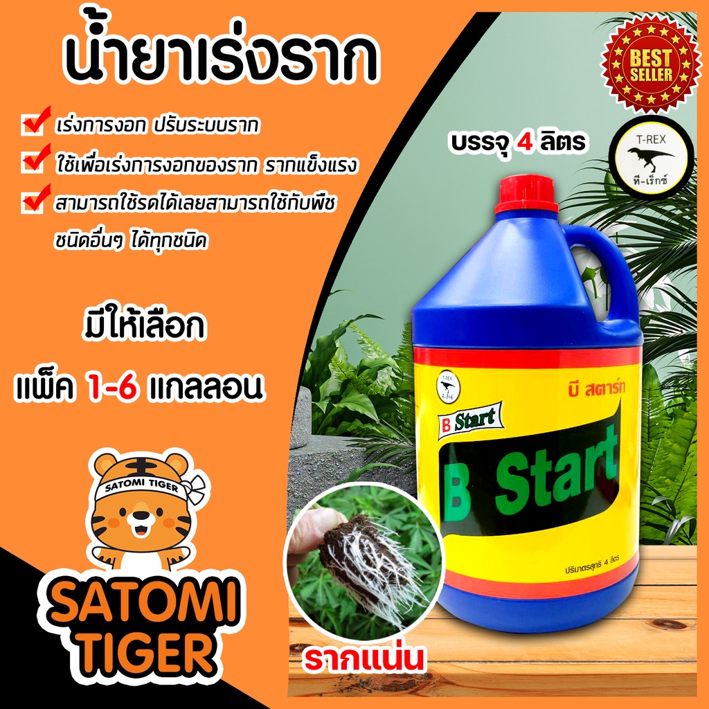 น้ำยาเร่งราก ทีเร็กซ์ บีวัน-สตาร์ท วิตามินบี-1 B1 ขนาด 4ลิตร 1 แกลลอน เร่งราก เรียกราก