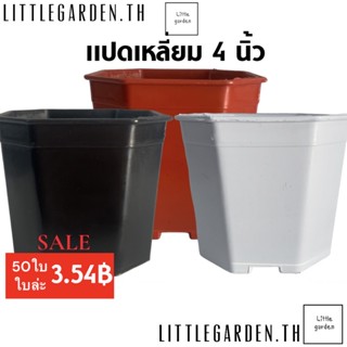 Little กระถางแคคตัส กระถางแปดเหลี่ยม 4 นิ้ว 50 ใบ 177 บาท (สีดำ สีขาว สีอิฐ สีเทา)