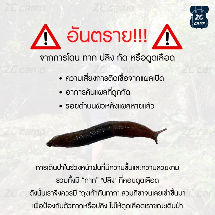 ZC CAMP ถุงเท้ากันทาก ถุงเท้ากันปิง สำหรับเดินป่า ปีนเขา 1 คู่ thumbnail 6