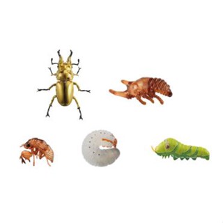 Ichiban Kuji insects world of insects large set! E-Prize (แบบสุ่มเลือกแบบไม่ได้ 1 ชิ้น)