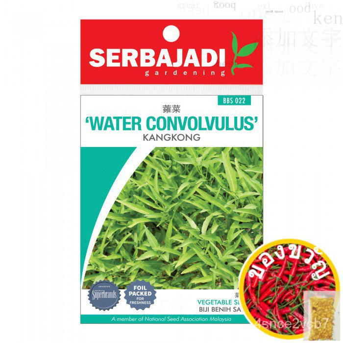 เซรัbabaya Water convolvulus-к (wxh)/เซมล็ตต์ kangkong (wxh)/ SDHU