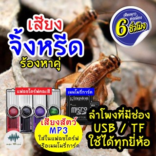 (MP3เสียงต่อสัตว์) เสียงจิ้งหรีดร้องหาคู่ [6ชั่วโมง] ใส่แฟลชไดร์ฟ/เมมโมรี่ เก็บเงินปลายทาง เสียงดีชัด100% ไม่มีโฆษณาแทรก