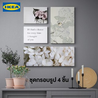 IKEA พร้อมส่ง ภาพชุด 4 ภาพ ดอกไม้สำหรับคุณ PJÄTTERYD พแยทเทอรีด 78x92 ซม.