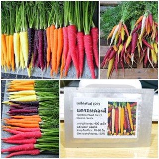 （คุณภาพสูง เมล็ด）เมล็ดพันธุ์ แครอทคละสี (Rainbow Mixed Carrot Seed) บรรจุ 400 เมล็ด คุณภาพดี /ง่าย ปลูก สวนครัว /ขายดี L