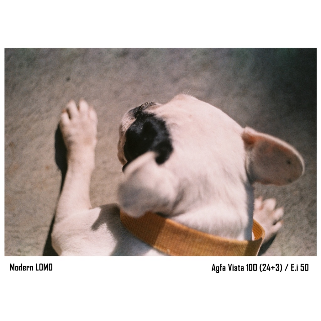 ฟิล์มสี 135 Agfa Vista 100