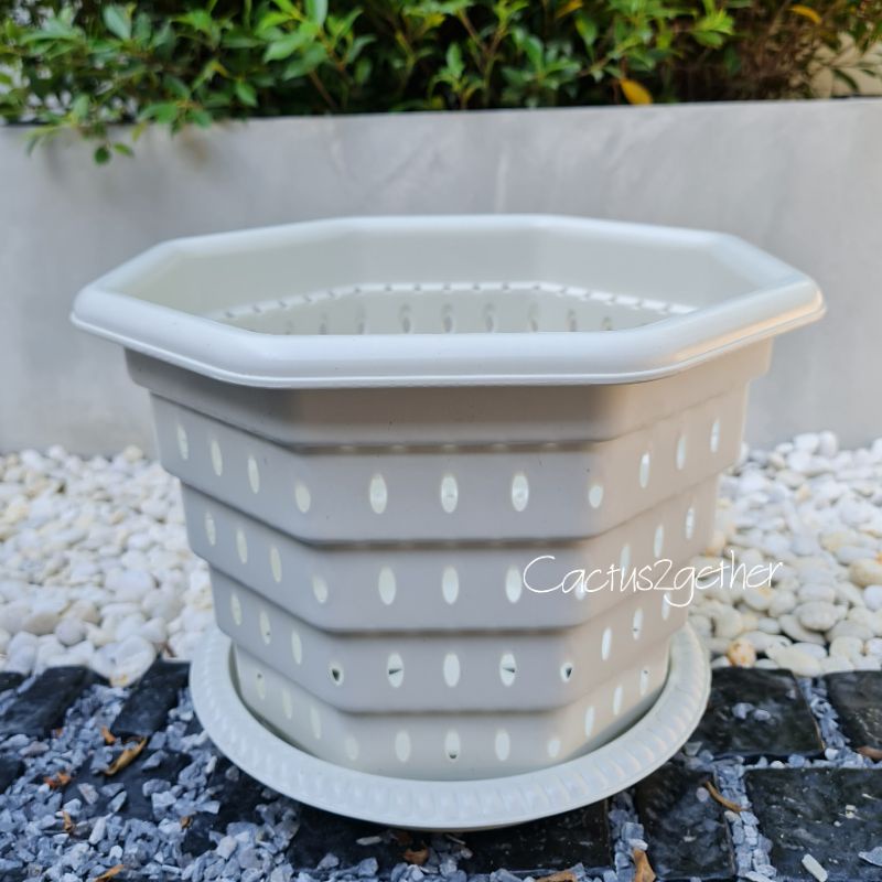 กระถางเร่งรากSuperหนา‼️หนา รูเยอะ ระบายน้ำดี เร่งรากโตไวขนาด10