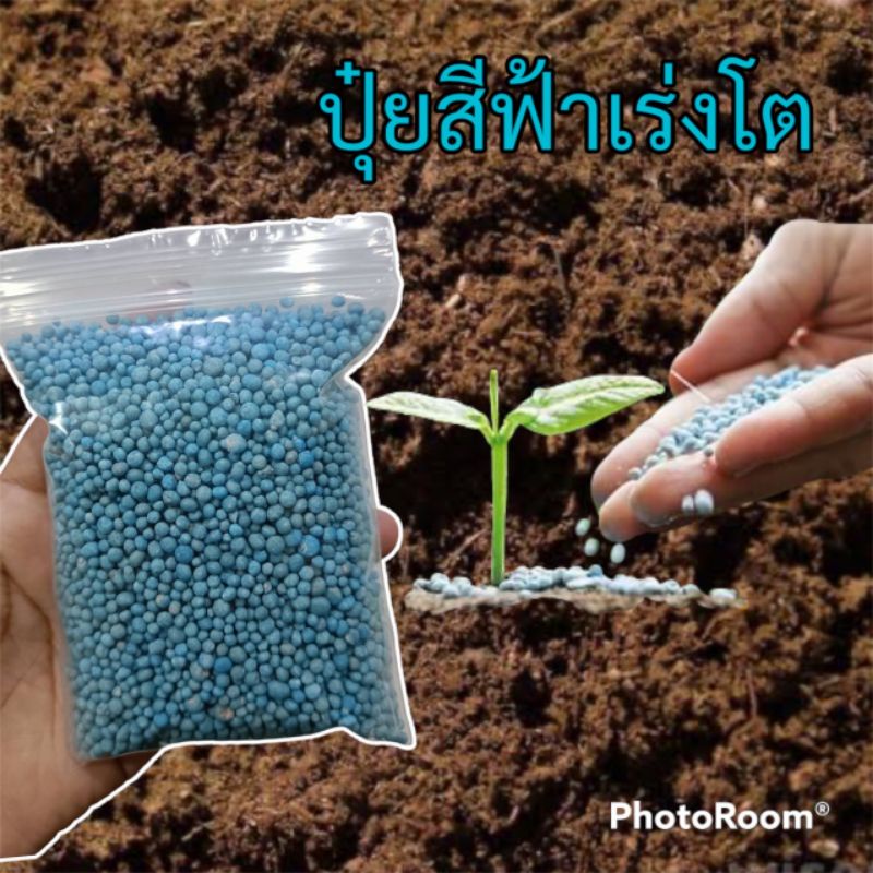 ปุ๋ยฮอร์โมนเร่งโต กัญกระท่อม เร่งดอก เร่งใบ เร่งรากx3 ส่งฟรี