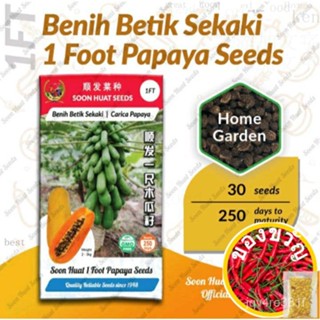 เร็วๆนี้ Huat PAPAYA sekaki PAPAYA seeds (1FT)ดอกไม้/ เม็ดมะละกอ/เมล็ดพืช/ มะละกอ/สร้อยข้อมือ/แอปเปิ้ล/มักกะโรนี/ และแอล