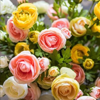 Ranunculus ball เมล็ดดอกโบตั๋นในร่มและกลางแจ้ง กระถางต้นไม้ ให้อาหารแก่กล้าไม้