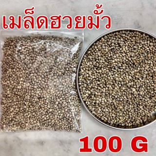 เมล็ดฮวยมั้ว 100 กรัม เกรดA 火麻仁 อาหารนกแก้ว ฮวยมั๊ว ฮ้วยมั้ว Hemp Seed เมล็ดพืช โปรตีนสูง ไขมันสูง อาหารว่างสำหรับนก แฮม