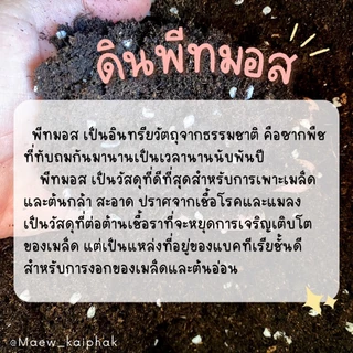 🌲พีทมอส สำหรับเพาะต้นกล้า ขนาด 50 กรัม ดินเพาะเมล็ด เพอร์ไลท์ เป็นวัสดุเพาะกล้าเหมาะกับไม้ดอก ไม้ประดับ พืชผัก