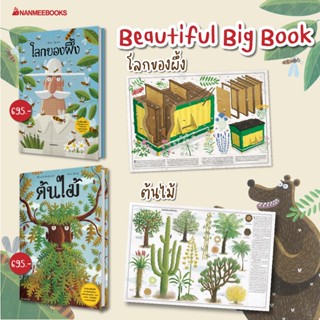 💥 Big Book 💥 NMB หนังสือ ต้นไม้ (ปกแข็ง) / โลกของผึ้ง (ปกแข็ง) หนังสือเล่มใหญ่มาก