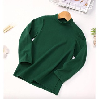 TLB-1139 เสื้อแขนยาวเด็กชาย sweater เสื้อยืดคอเต่า สีเขียว