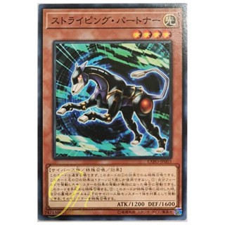 [EXFO-JP003] Striping Partner (Common)