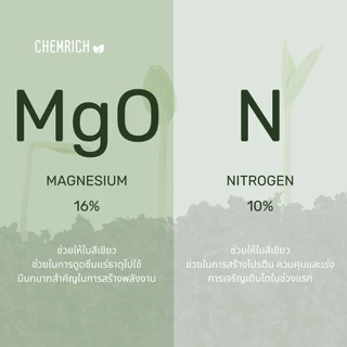 500G/1KG แมกนีเซียมไนเตรท 10-0-0 + 16MgO ปุ๋ยบำรุงใบ / Magnesium nitrate - Chemrich