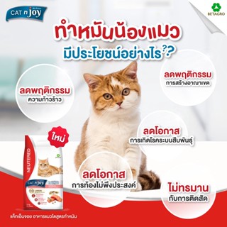 Cat N Joy อาหารแมว แมวโต สูตรทำหมัน รสแซลมอน ขนาด 1.2kg